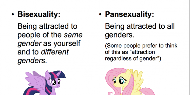 Meaning pansexual
